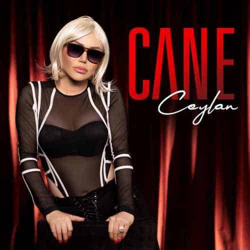 دانلود آهنگ جدید Ceylan به نام Cane