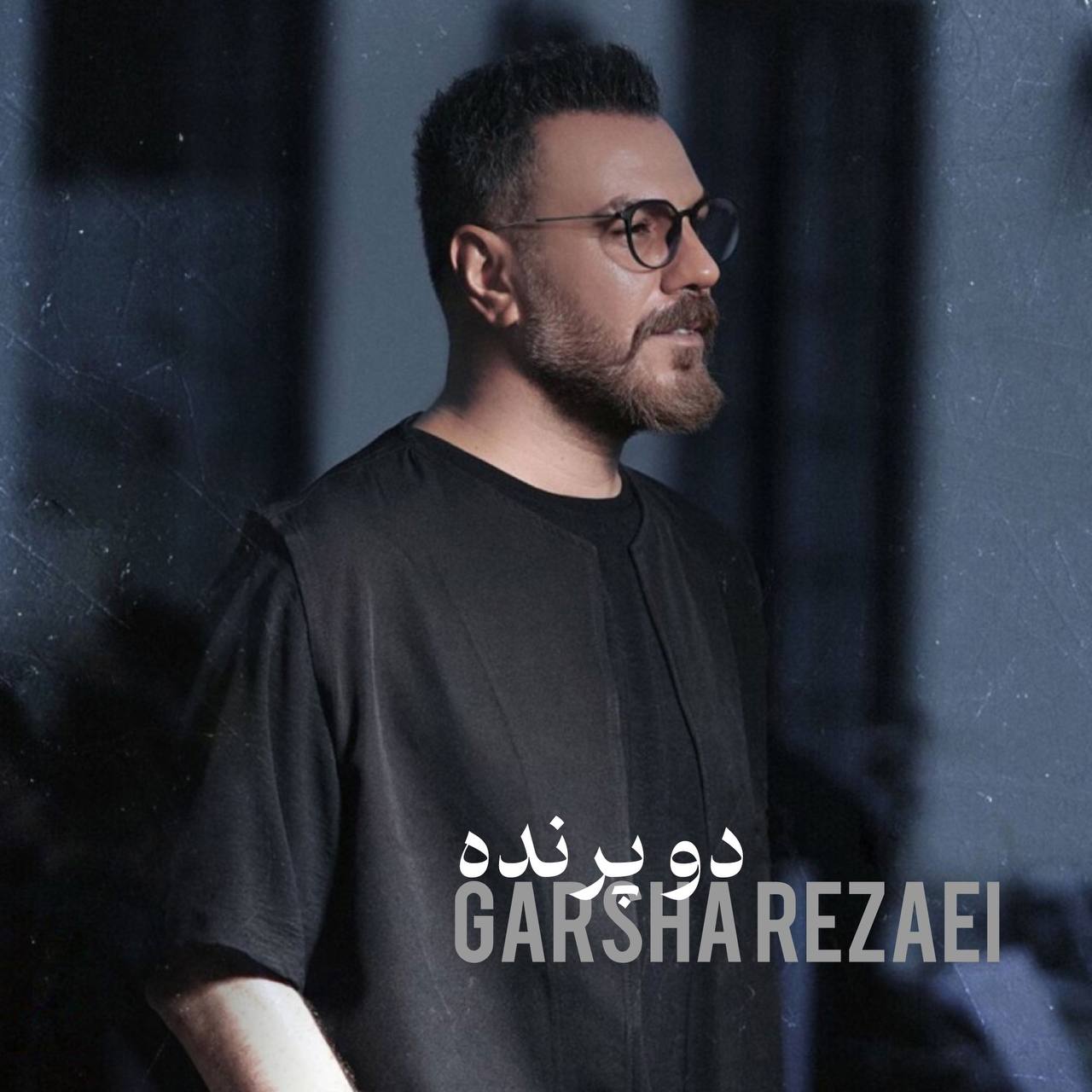 دانلود آهنگ جدید گرشا رضایی به نام دو پرنده