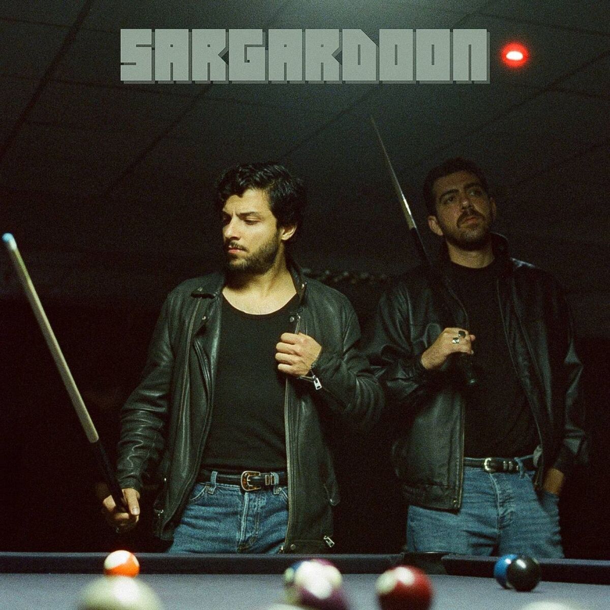 mehrad hidden sargardoon