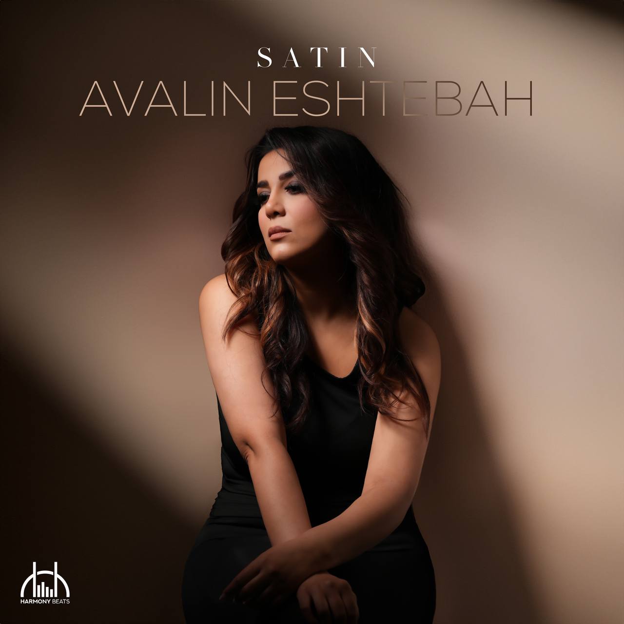 satin avalin eshtebah