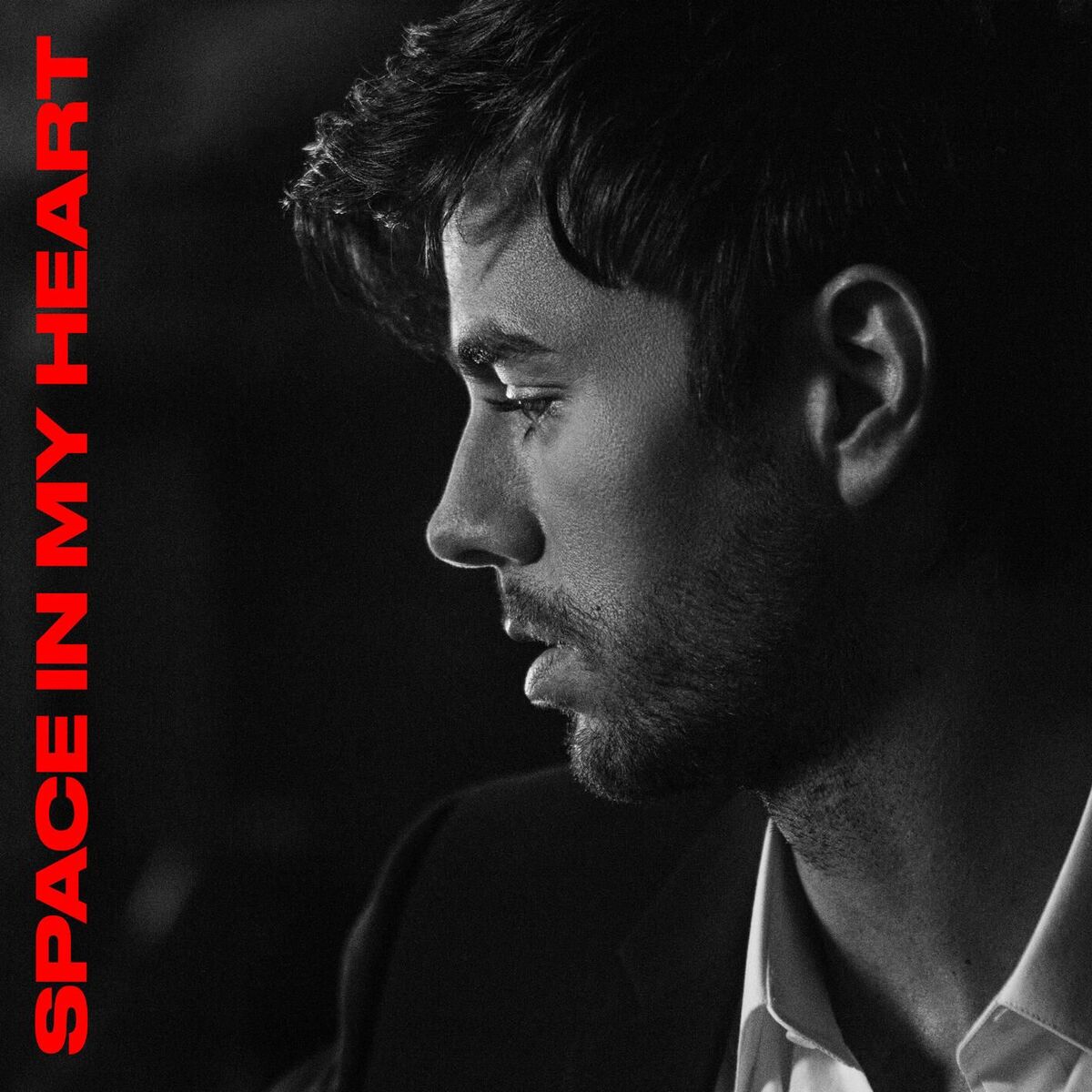 دانلود آهنگ جدید Enrique Iglesias به نام Space in My Heart