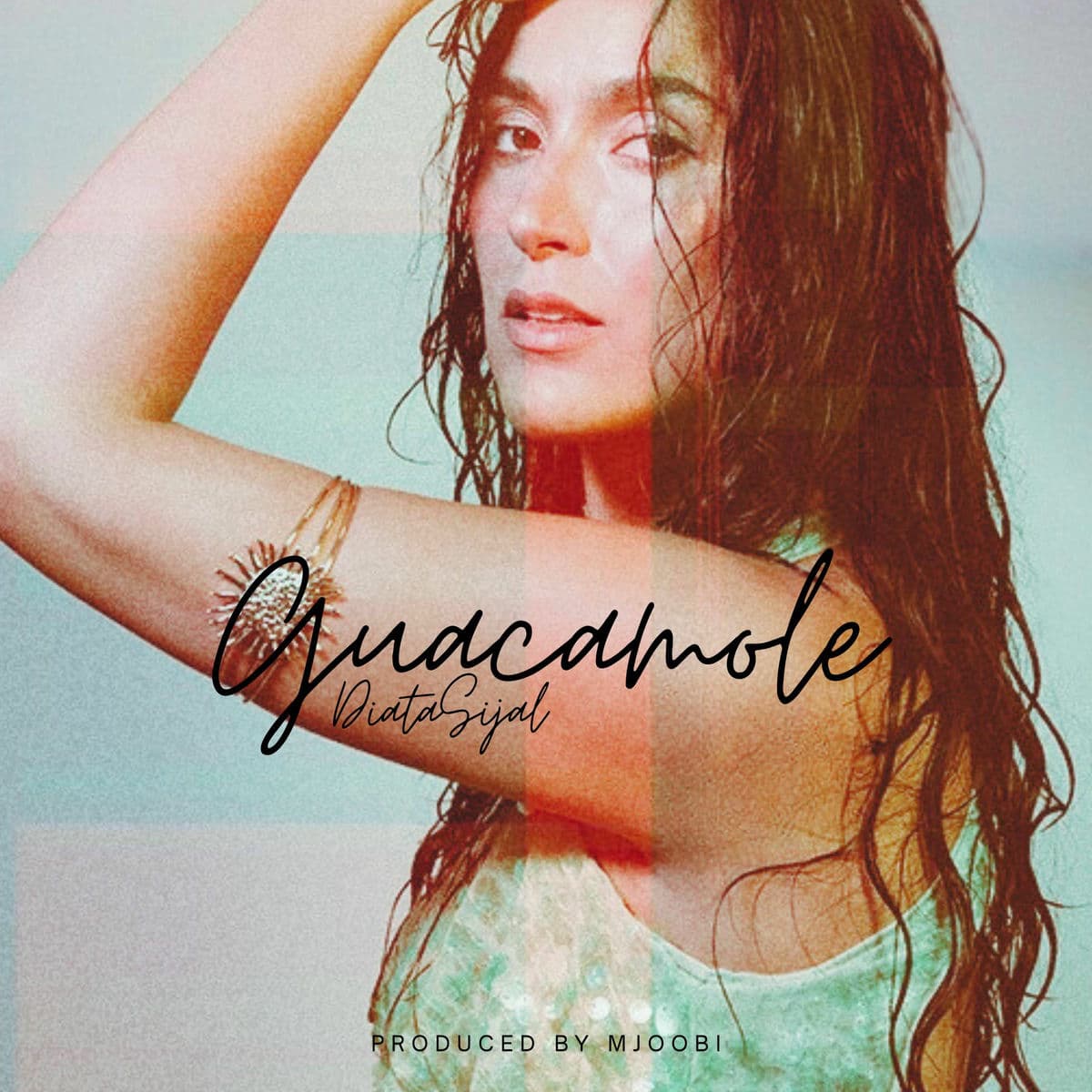 دانلود آهنگ جدید سیجل به نام گواکاموله