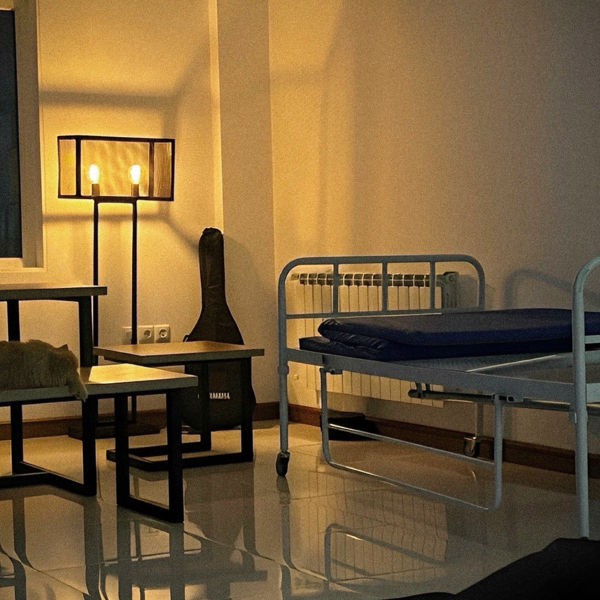 دانلود آهنگ جدید شروین حاجی پور به نام دلم برات تنگ میشه