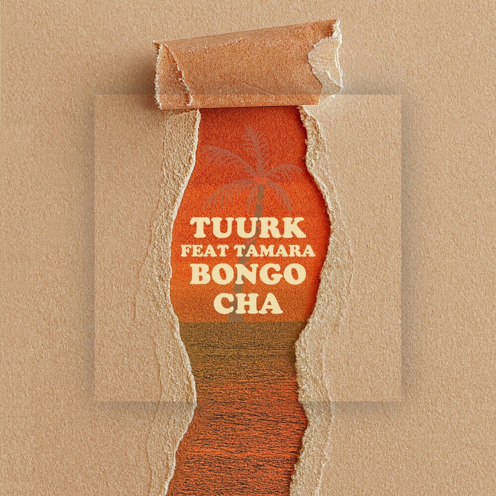 Tuurk - Bongo Cha (Ft Tamara) [musicmim.com]
