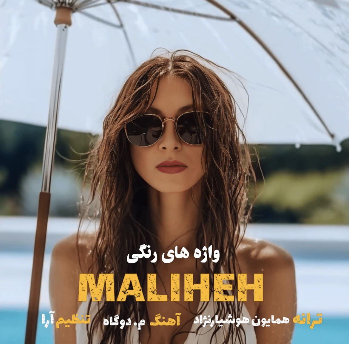 دانلود آهنگ جدید ملیحه به نام واژه های رنگی