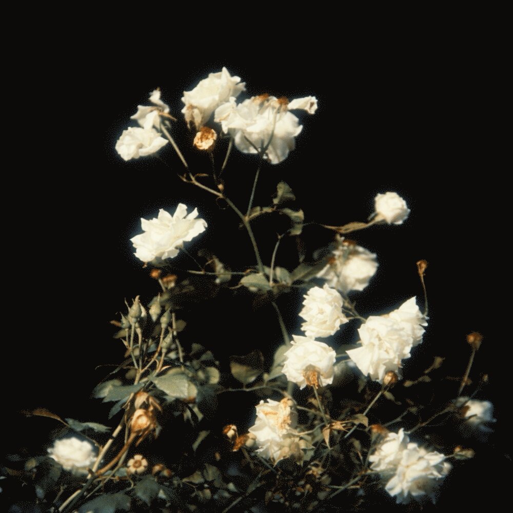 Isam - Azadi [musicmim.com]