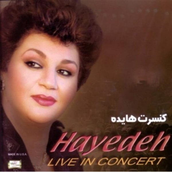 hayedeh che konam chekar konam (live) [musicmim.com] cover