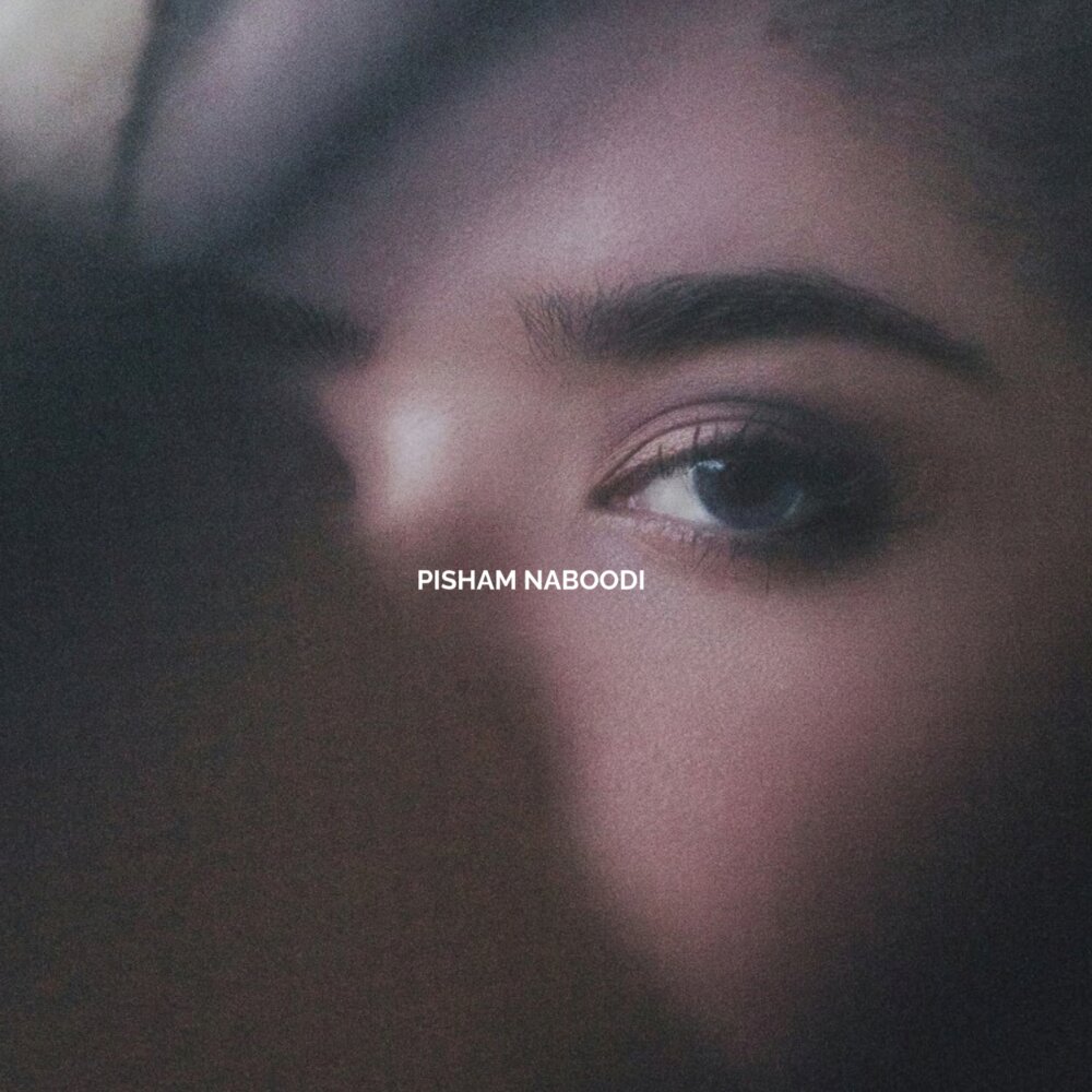 ali t pisham naboodi (ft shadmehr ny) [musicmim.com] cover