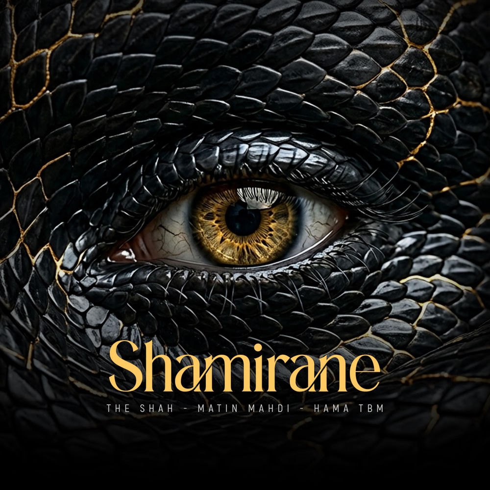 the shah shamirane (feat. matin mahdi hama tbm)
