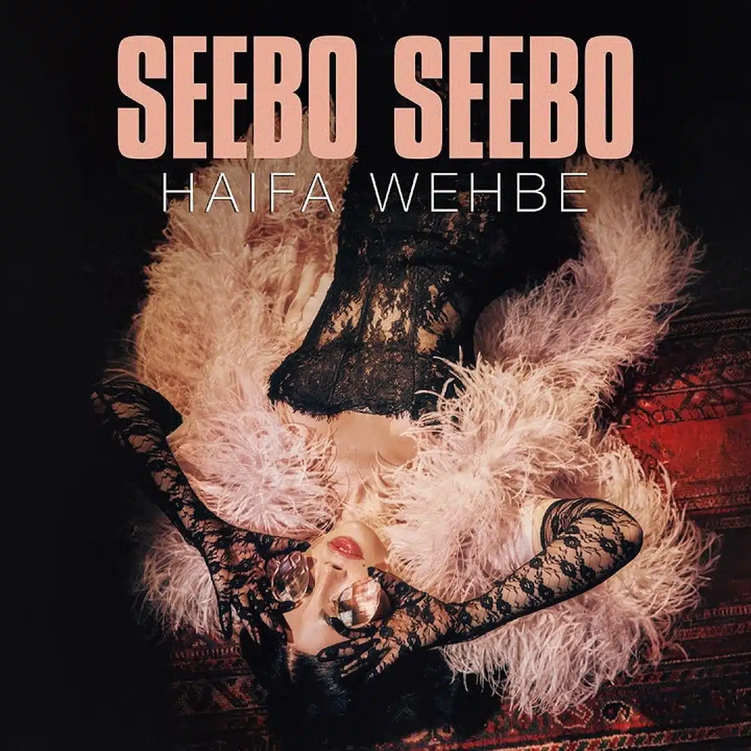 دانلود آهنگ جدید Haifa Wehbe به نام Seebo Seebo